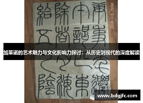 加莱诺的艺术魅力与文化影响力探讨：从历史到现代的深度解读