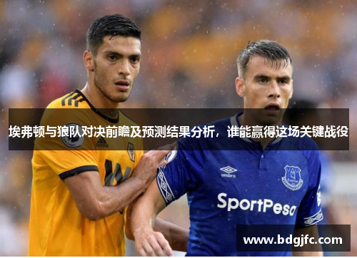 埃弗顿与狼队对决前瞻及预测结果分析，谁能赢得这场关键战役