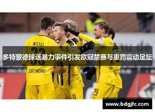 多特蒙德球迷暴力事件引发欧冠禁赛与重罚震动足坛