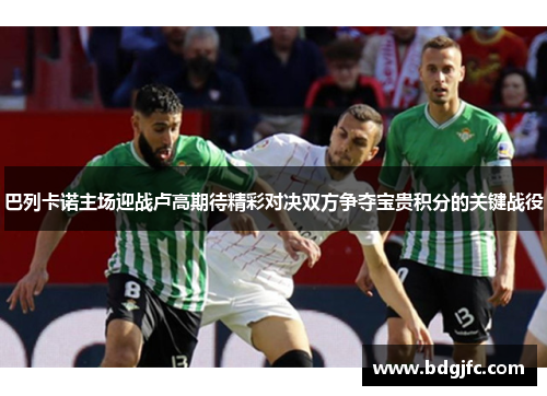 巴列卡诺主场迎战卢高期待精彩对决双方争夺宝贵积分的关键战役